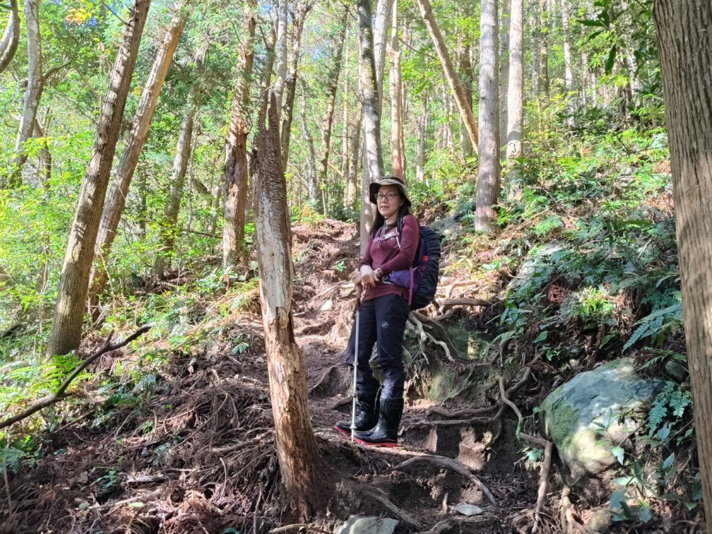 高島縱走20250215_2713756