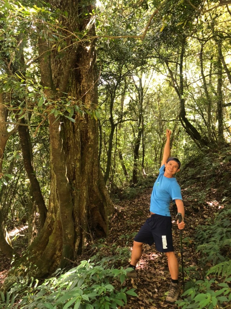 立鷹山.合歡北峰+合歡西峰【全力以赴解鎖_979648