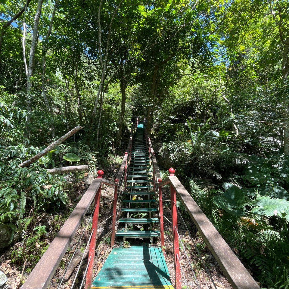 20251011_立霧山認證點（花蓮小百岳）_2941272
