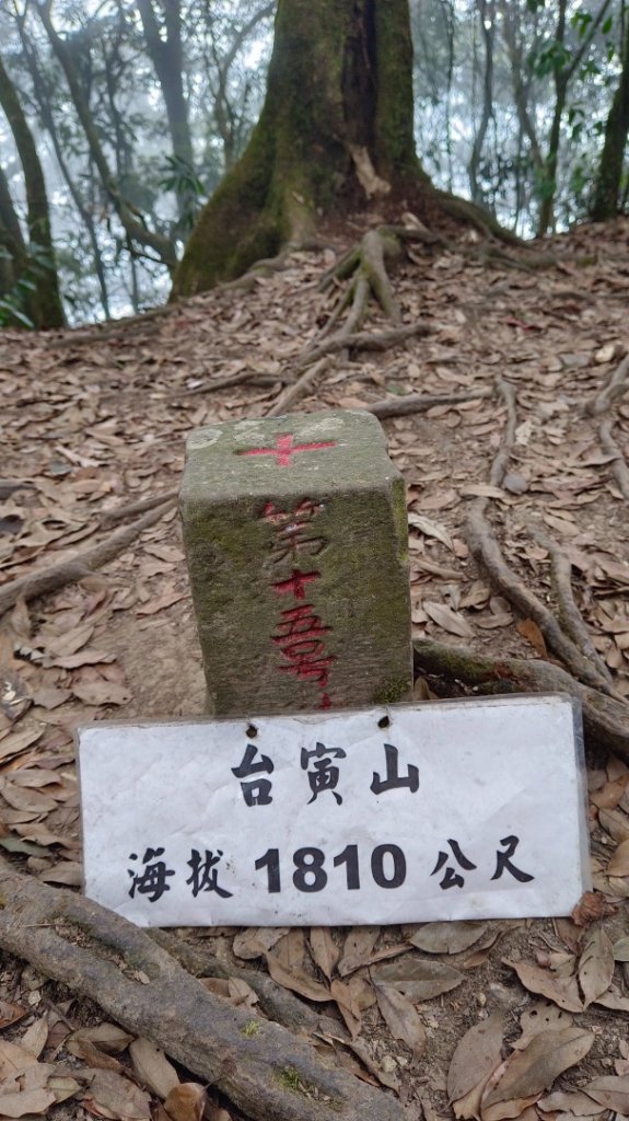 溪頭鳳凰山（米堤飯店香蕉園登山口）_2076412