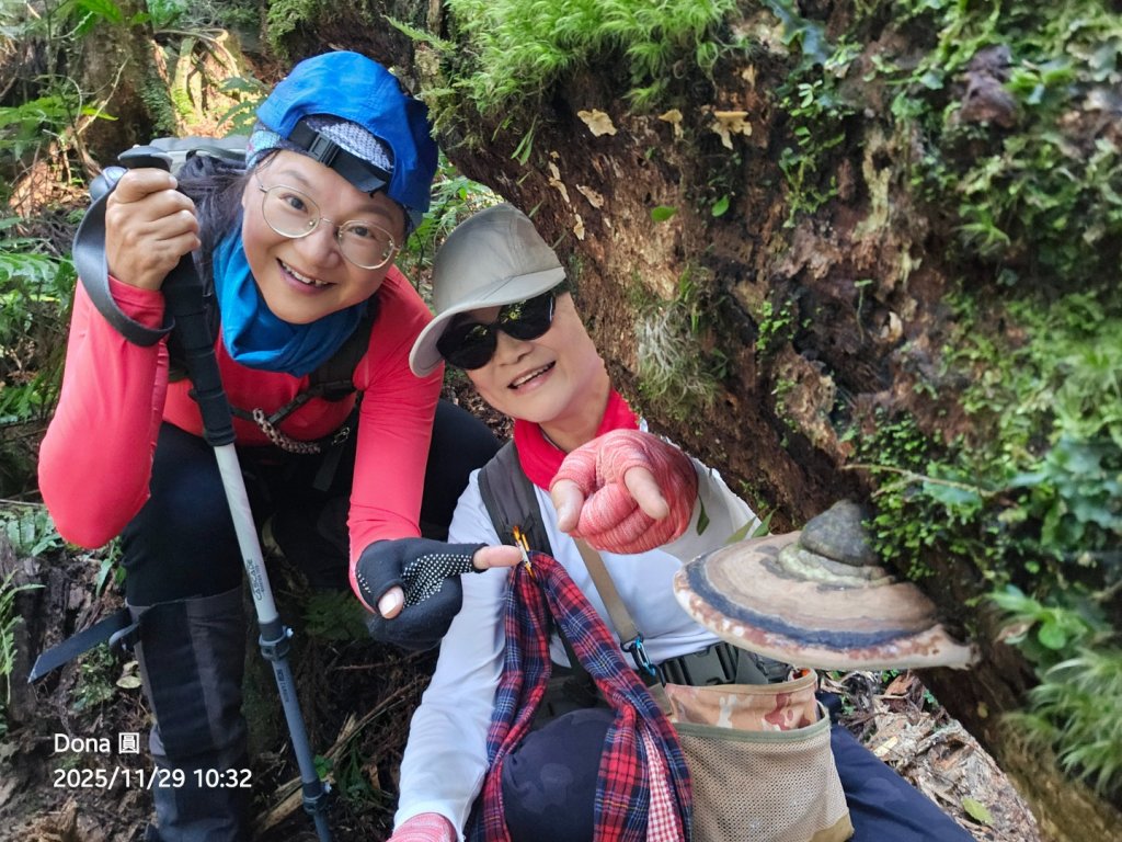 20251129逆走逐鹿卡保環型路線全段全紀錄_2949870