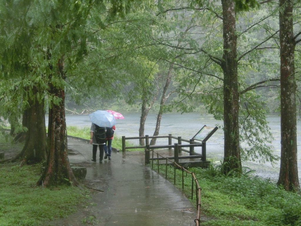 福山植物園_691036