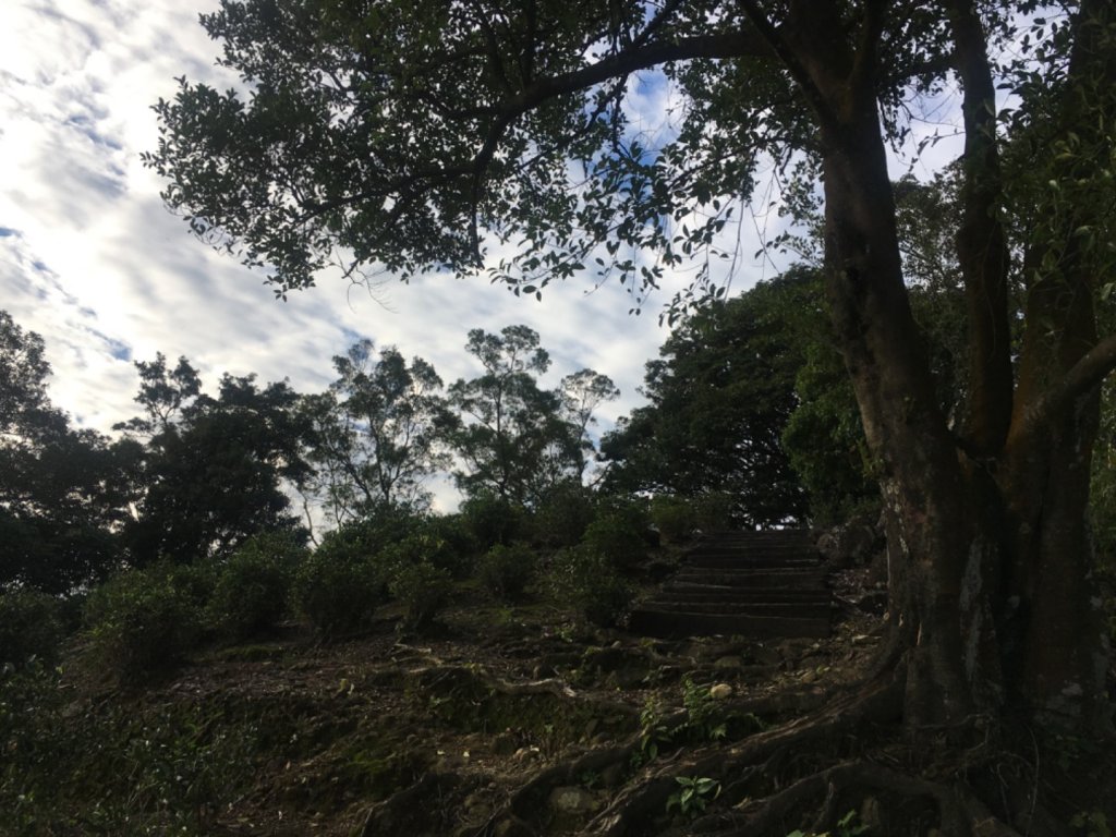 六寮崙山、雞罩山、白雞山8字走_2371048