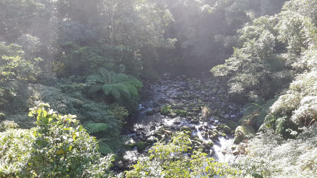 平溪東勢格、竿蓁坑、高德坑山區_798916