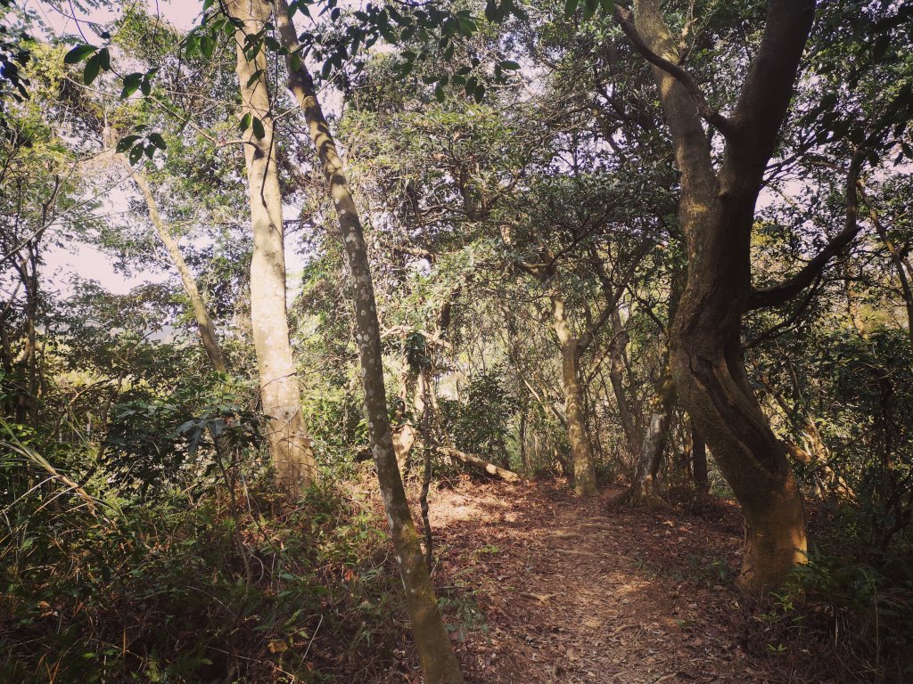 我從福人步道走去大北坑吃好料_818609