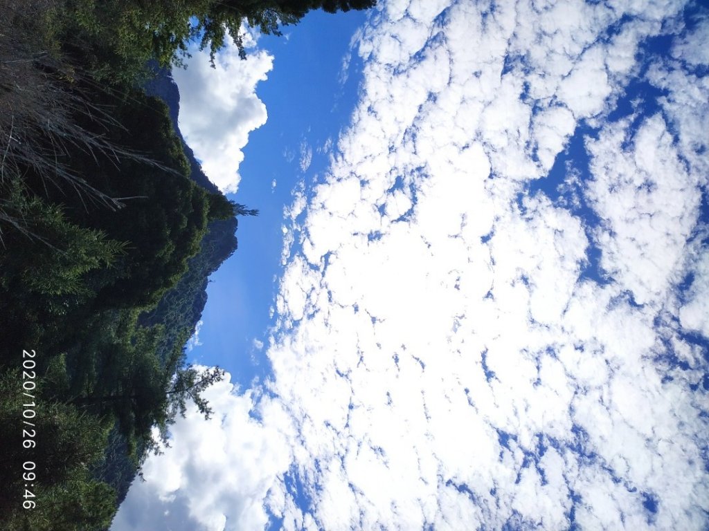 西巒大山．郡大山．治茆山_1144971