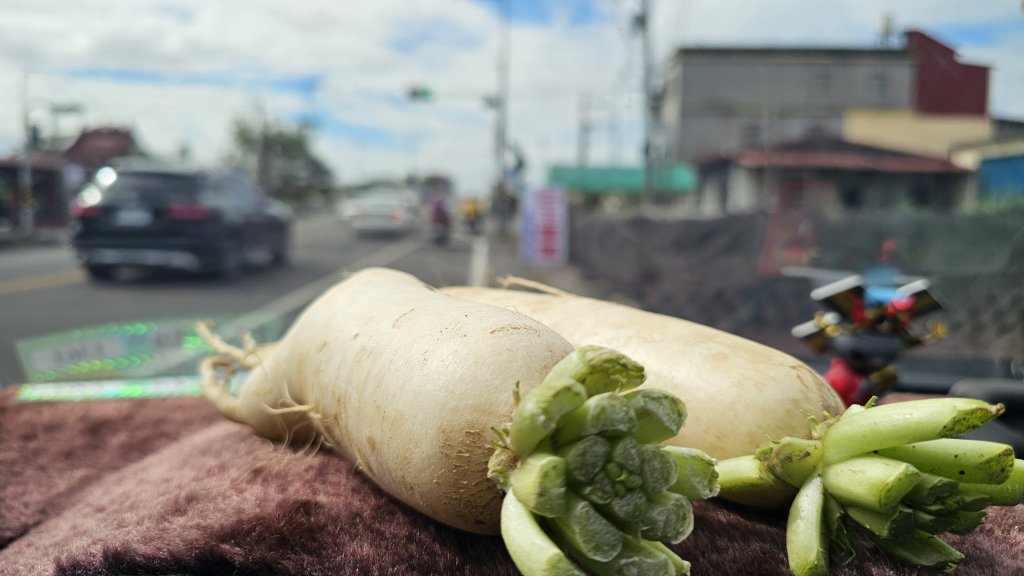 【錯過昨天的約定，今天用腳步致歉】⛰️尾寮山的魔王氣場依舊強大_2952115