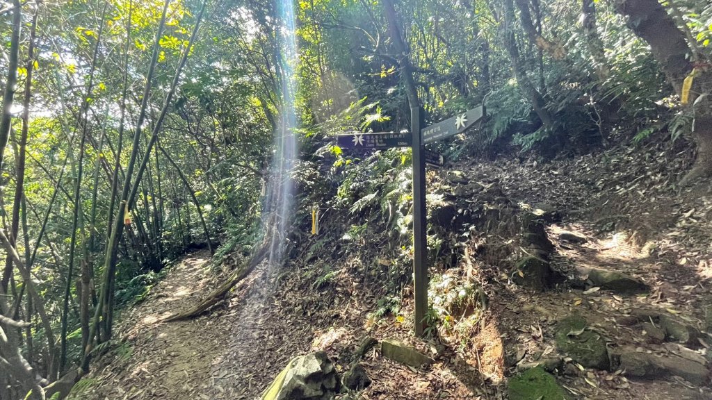 新北｜瑞芳．牡丹 淡蘭古道北路 燦光寮古徑段（TK1-1~1-7）_1501341