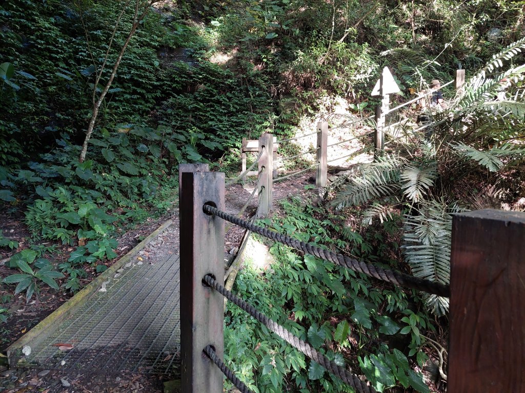 202206瓦拉米步道_1740920