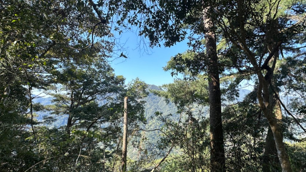 裡冷上唐麻丹O繞+蝴蝶谷_2742933