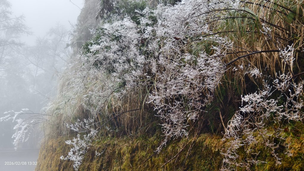 #霧淞 #雲海 #雲瀑 #霧虹 #太平山 #望洋山 #觀雲步道 #翠峰道路  2/8_2995354