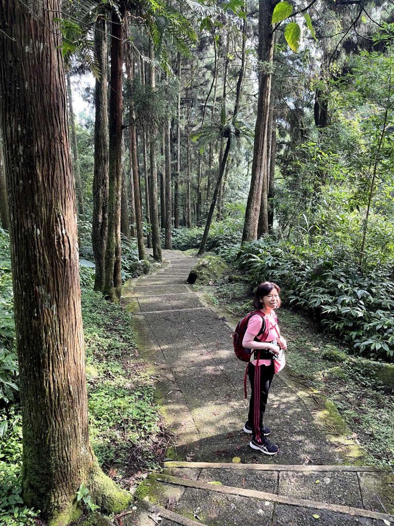 溪頭沿溪步道+天文台20220910_1889762