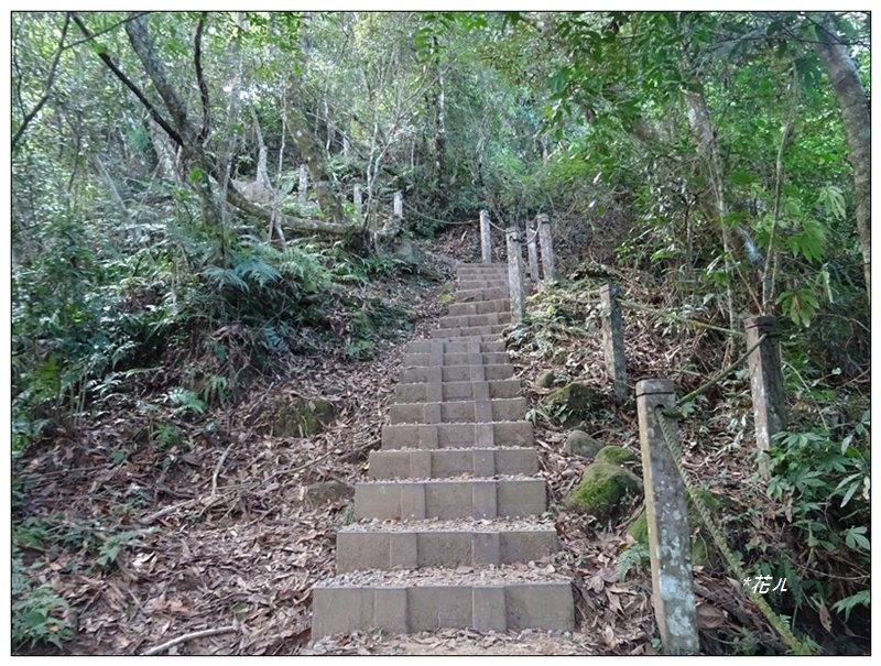 馬那邦山(小百岳)/上湖登山口_2427045