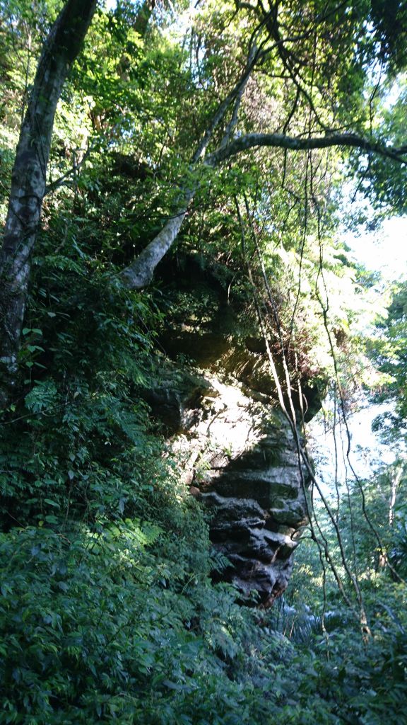 金龜岩、猴洞步道+五指山_372752