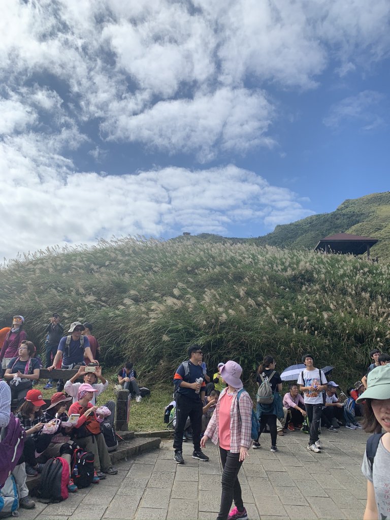 【新北-宜蘭】芒花綻開草嶺古道散步去_872366