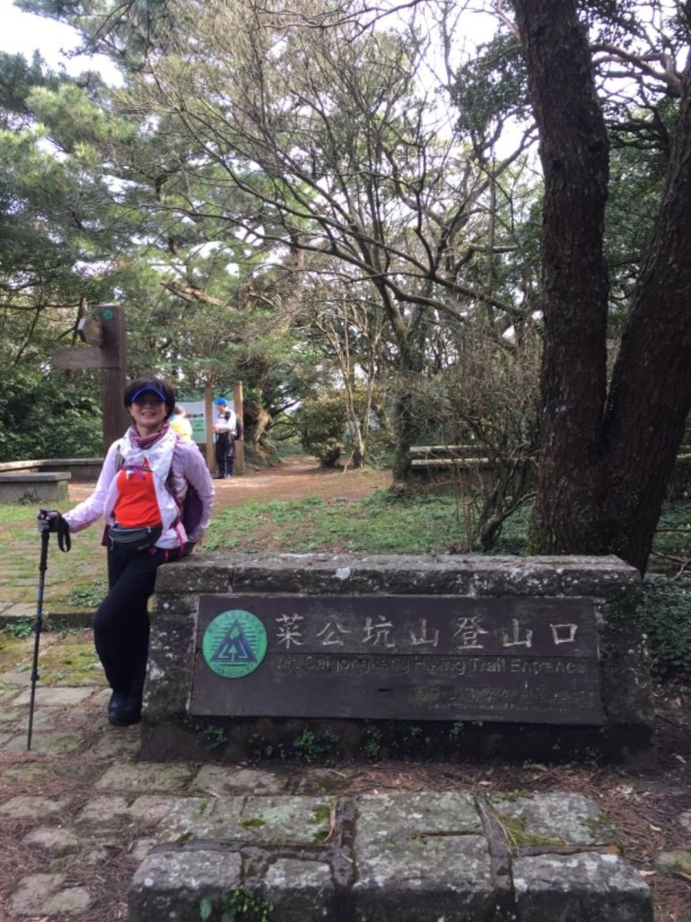 滿山滿谷的木蓮、山櫻花（樟樹湖古道）_270187