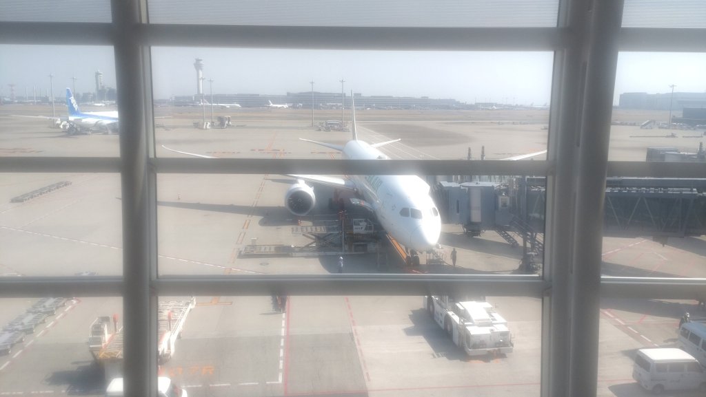 20250316日本旅遊自由行旅拍_2783090