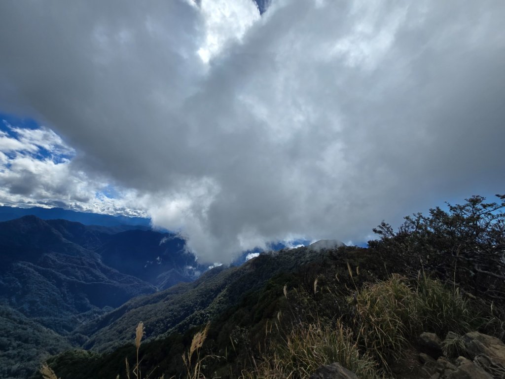 加里山（大坪登山口大O繞）_2955458