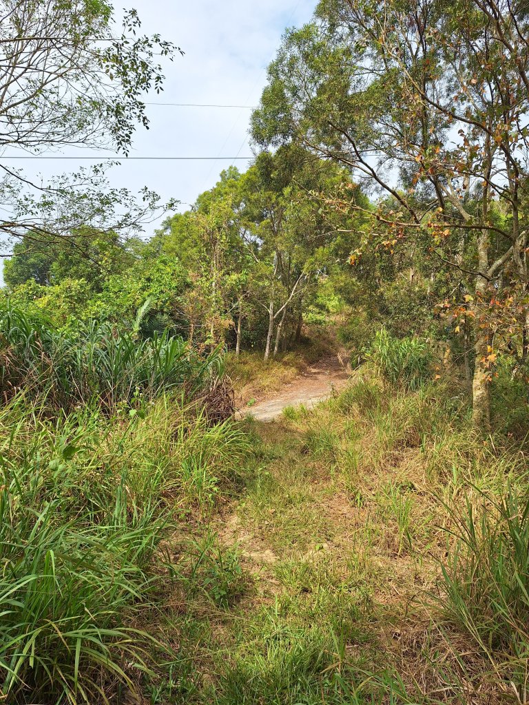 烏山嶺水利古道+鳥子嶺O型_2967528