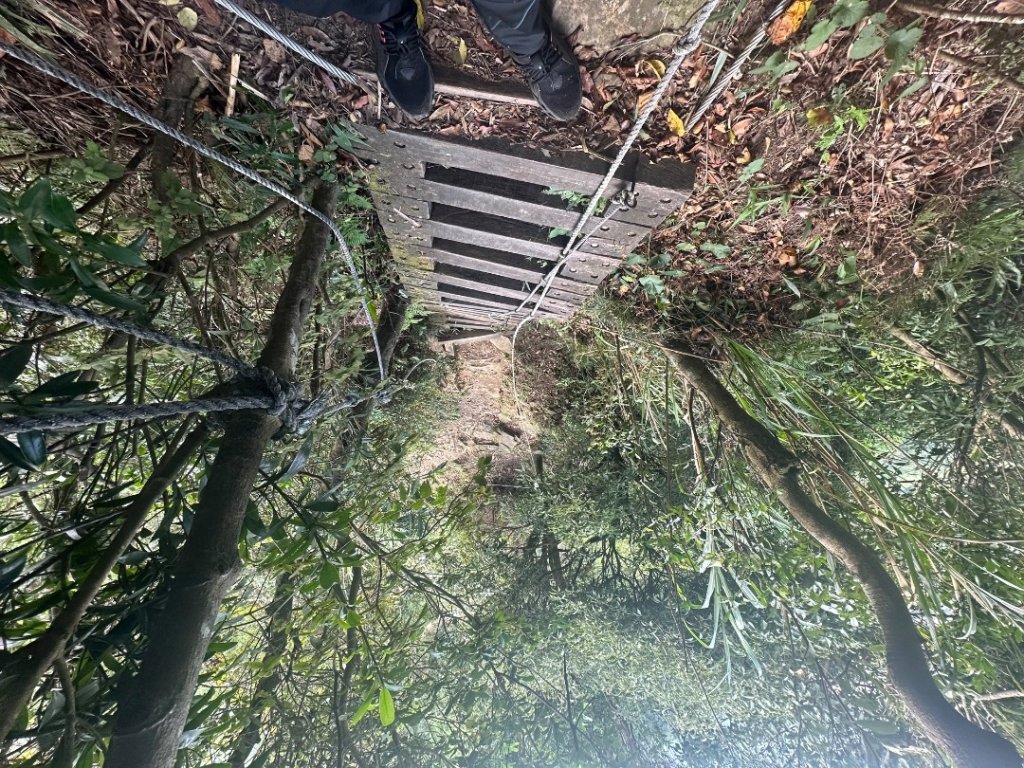 獅仔頭山_2601976