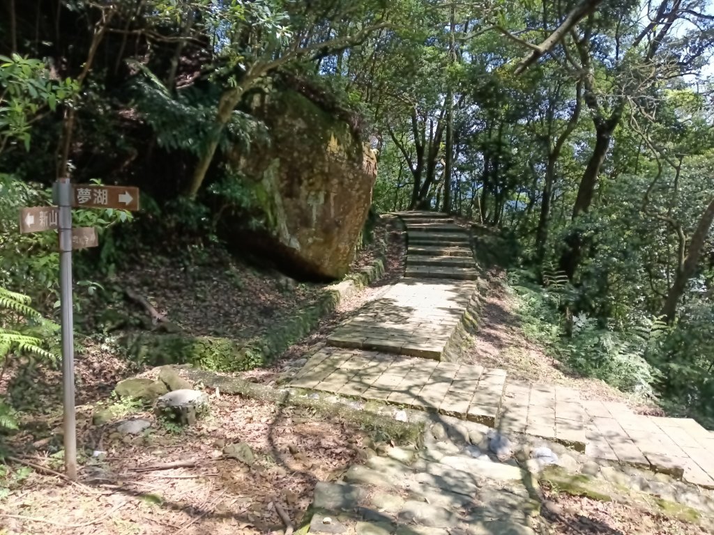 汐止區夢湖秘境桐花夢幻_2773556