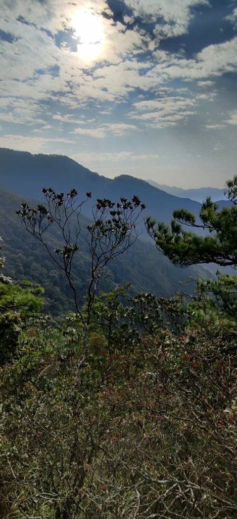 中級山-鳶嘴稍來_2888988