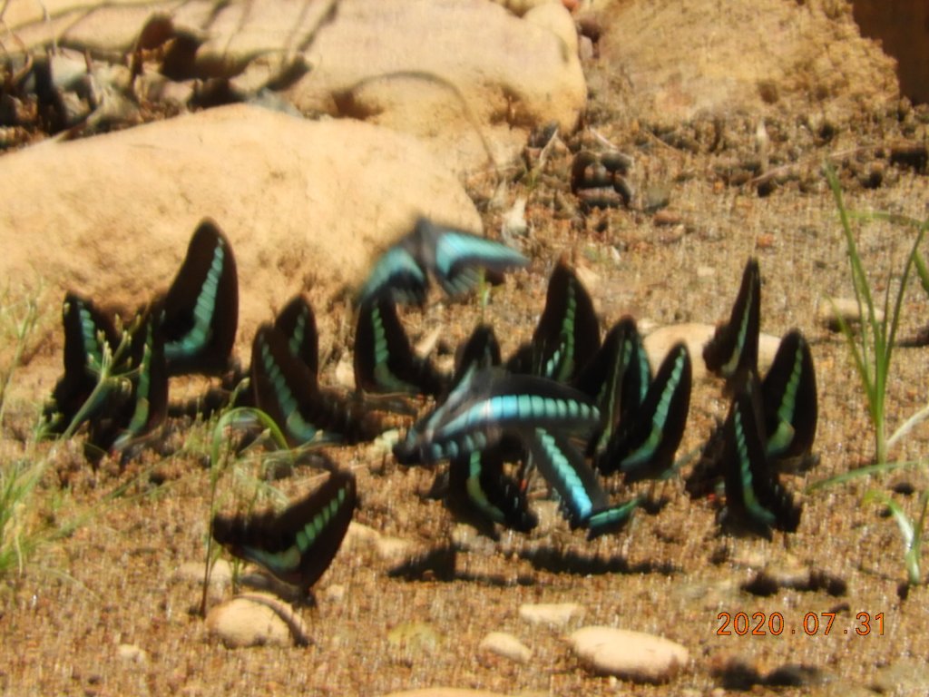 就是喜歡這個藍天白雲的FU_1052429