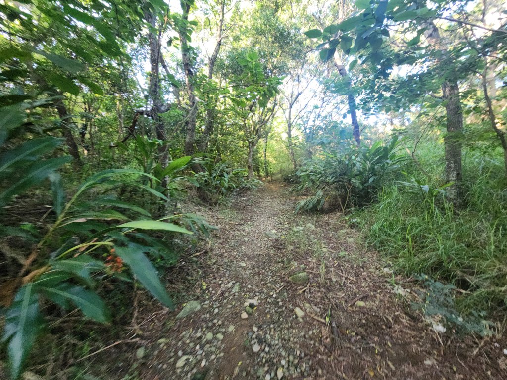 20250921學田山王田山大肚山大尖山竹坑山_2928470