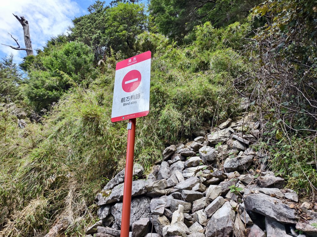 [玉山尋寶任務-04/12] 2025_0823 玉山前峰登山山徑_2869557