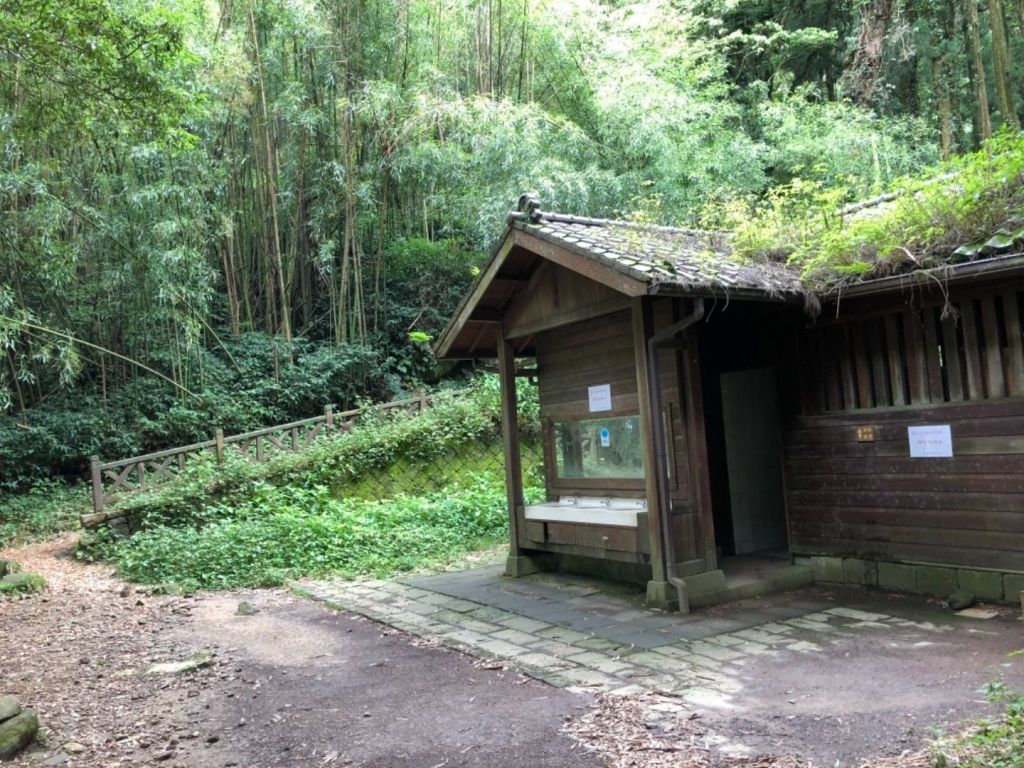 頂湖步道登奮起湖大凍山、霹靂山_348544