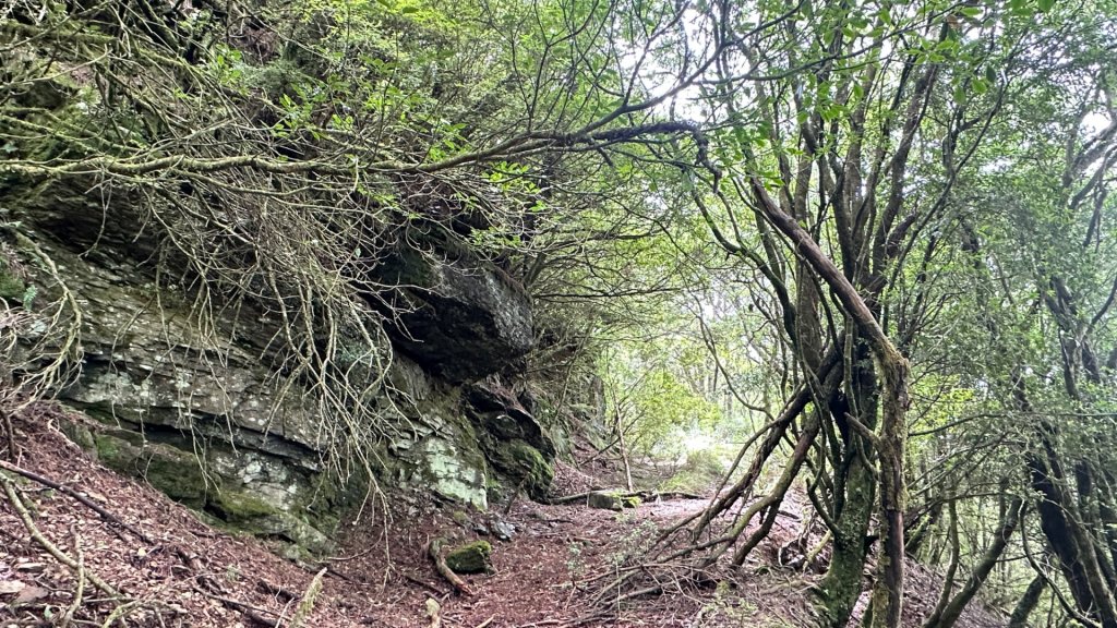 觀雪縱走_2836071