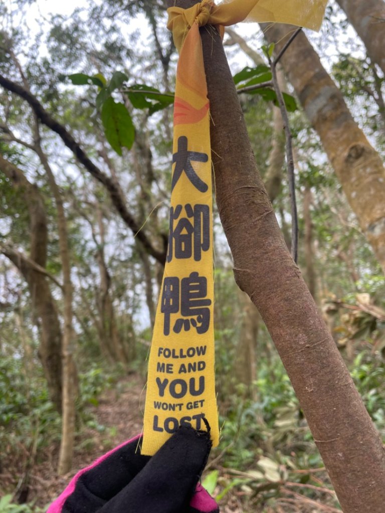 銀河洞越嶺貓空-新高麗坑山-銀獅縱走-猴山岳群峰+三條魚縱走_2699517