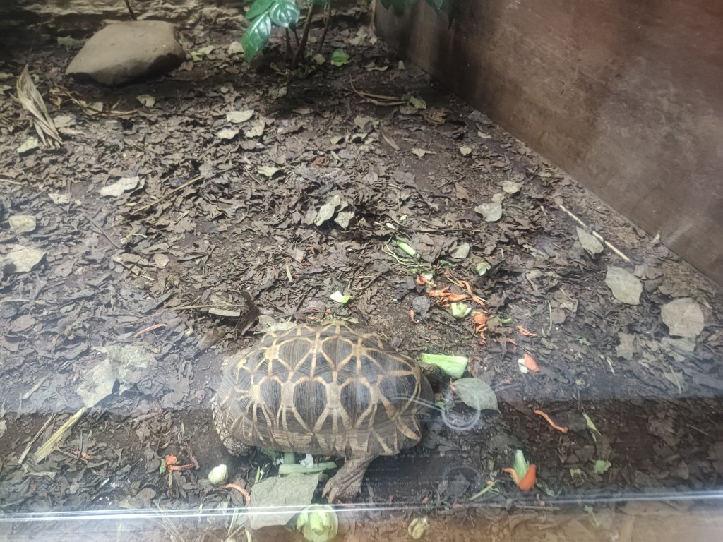 台北動物園_2663982