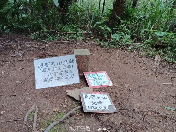 【新竹五峰】迷霧山林。 民都有山登山步道(面托油山)x民都有山北峰_2991899