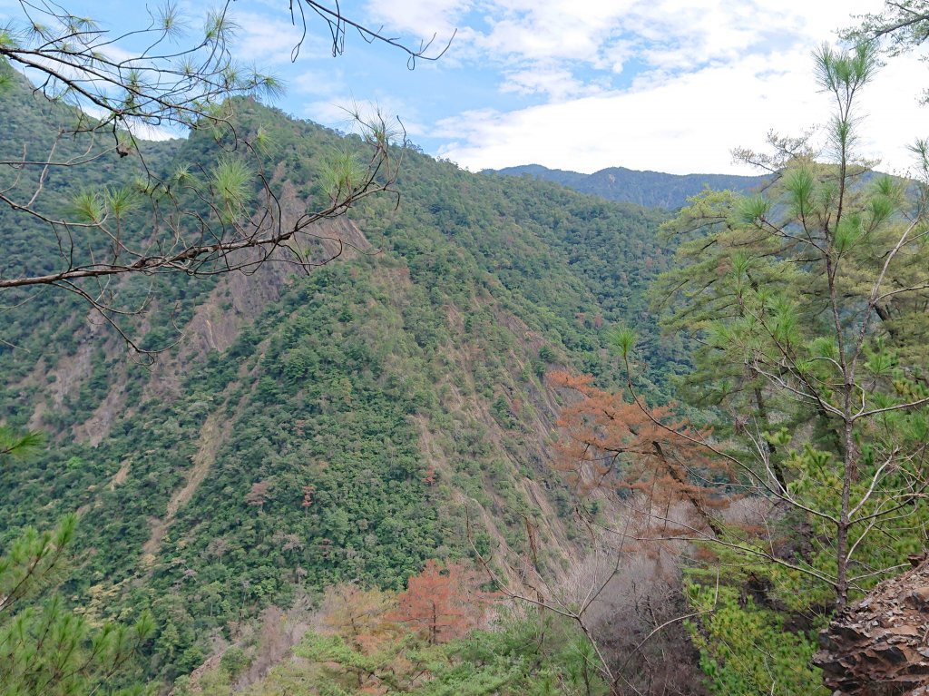 惠蓀林場_1484867