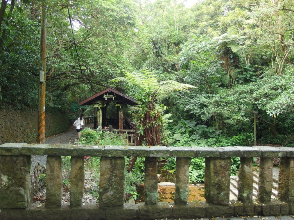 九五峰‧南港山_551712