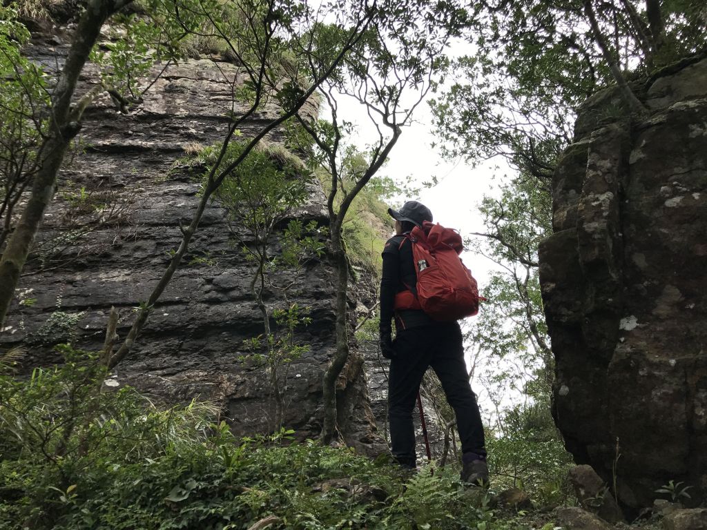 東眼山.拉卡山環走東滿步道_193652
