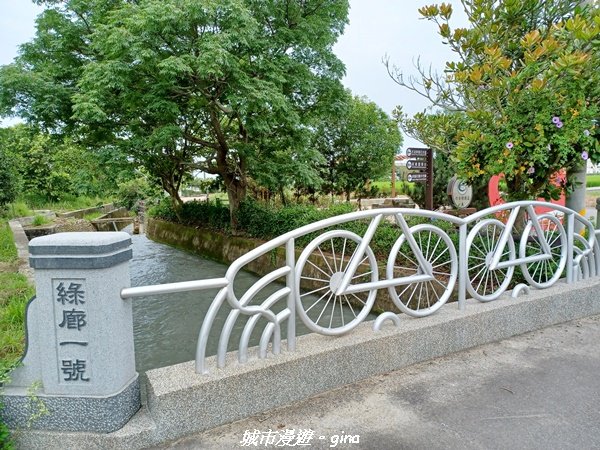 【台中外埔】沿著水圳散散步。 外埔水流東桐花步道_1731463