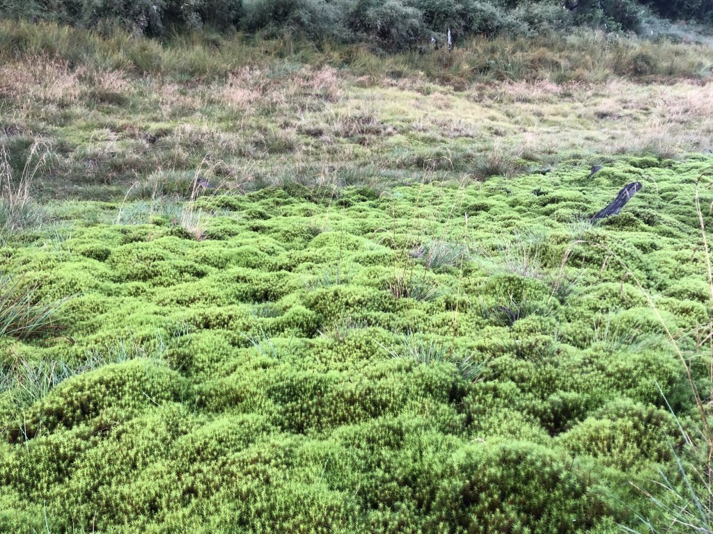 宜蘭 四季 加羅湖_633911