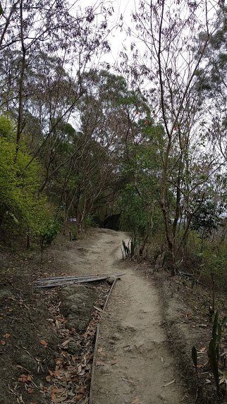 2020 4/6 三汀山_904938