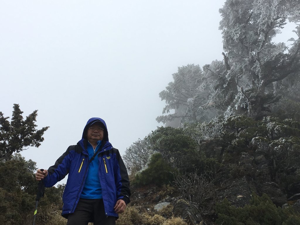 八通關山、八通關山西峰、秀姑巒山_526196