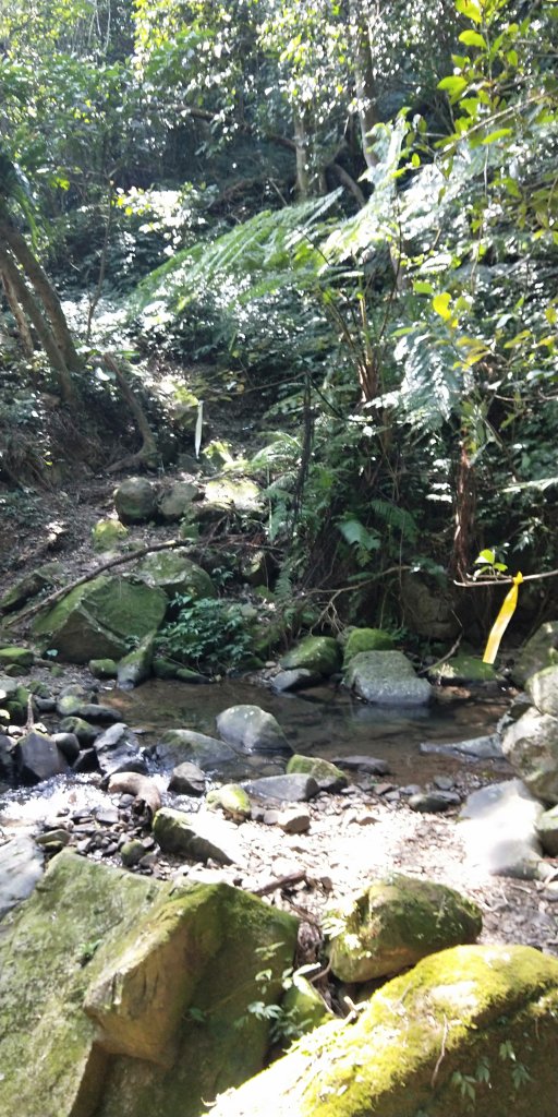 202102 三峽動物縱走小O繞_1278935