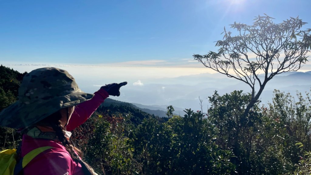 塔魔巴2天1夜來回_2357208