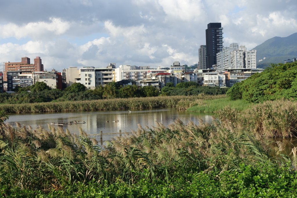 關渡水岸公園_1156282