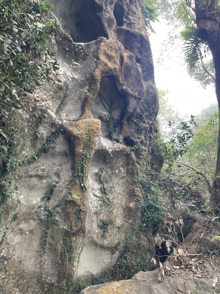 崁頭山&竹子尖山_2964374