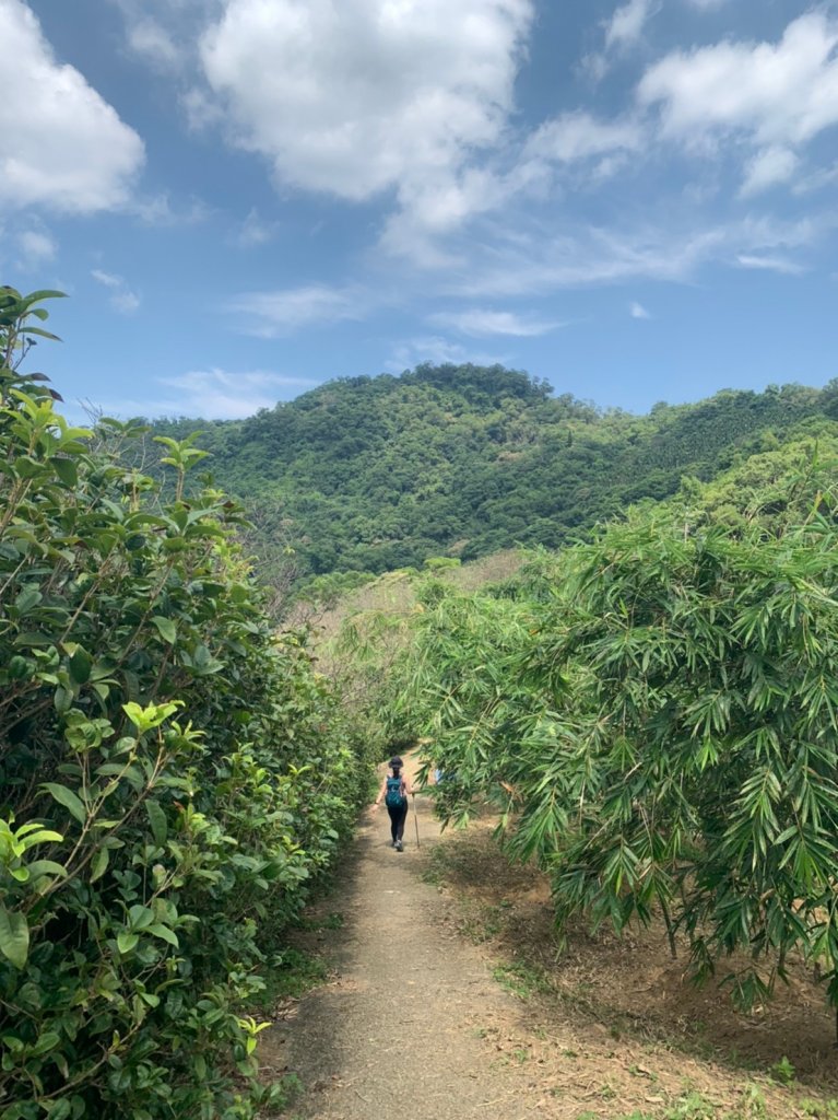 小獅山、待老坑、銀河洞縱走_1235710