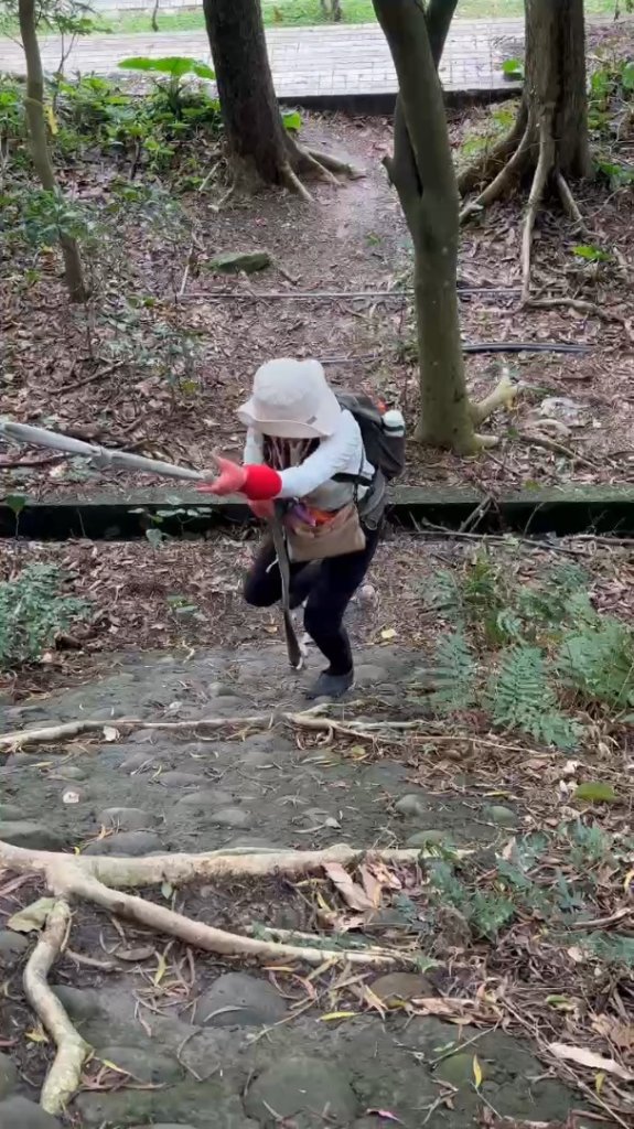 20260302忠義山.小坪頂山.貴子坑山大O走_3009966