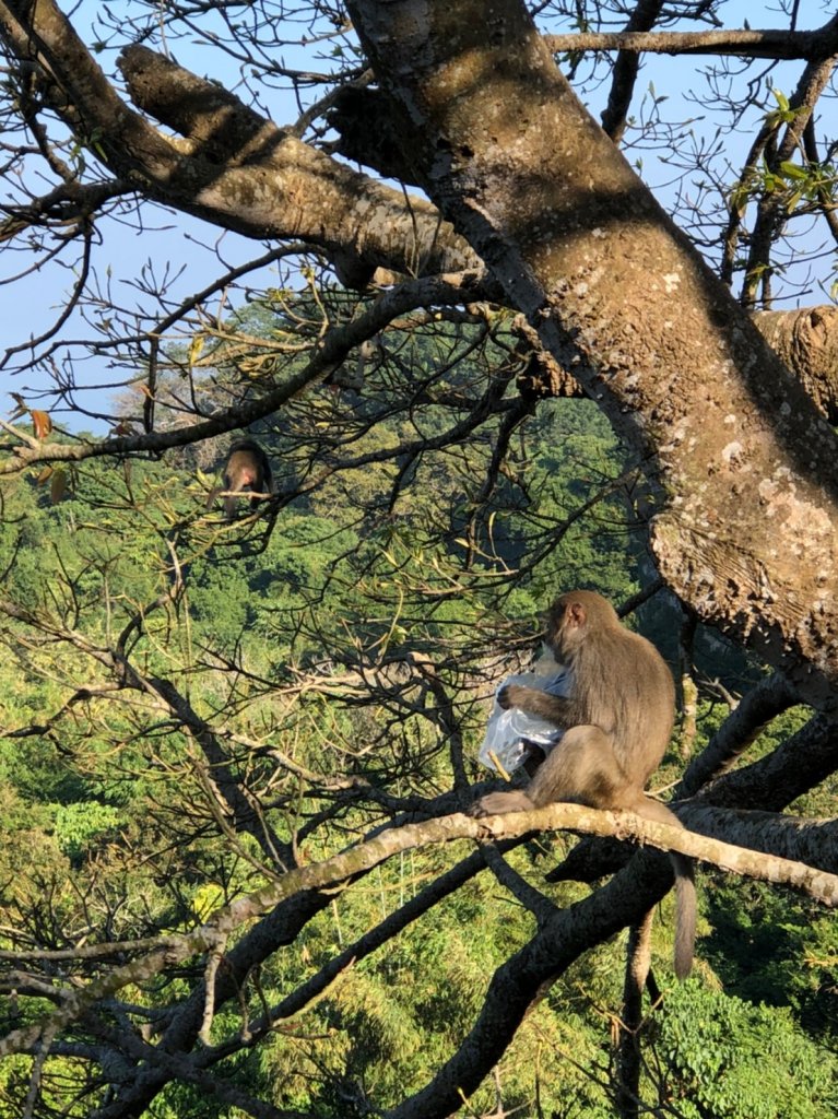 2019.11.17柴山練體力封面圖