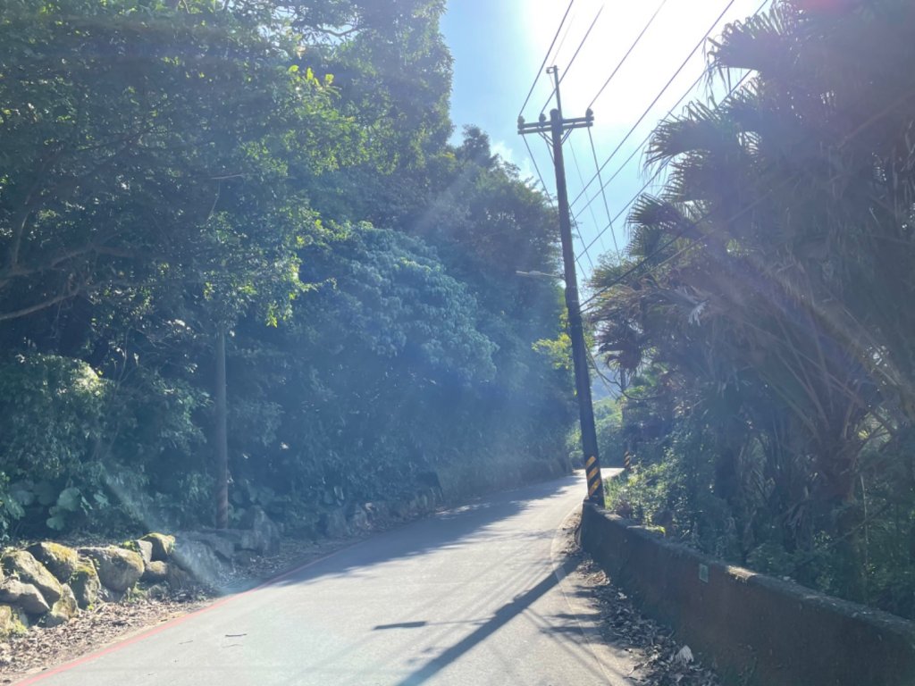 大崙頭山步道_2014580