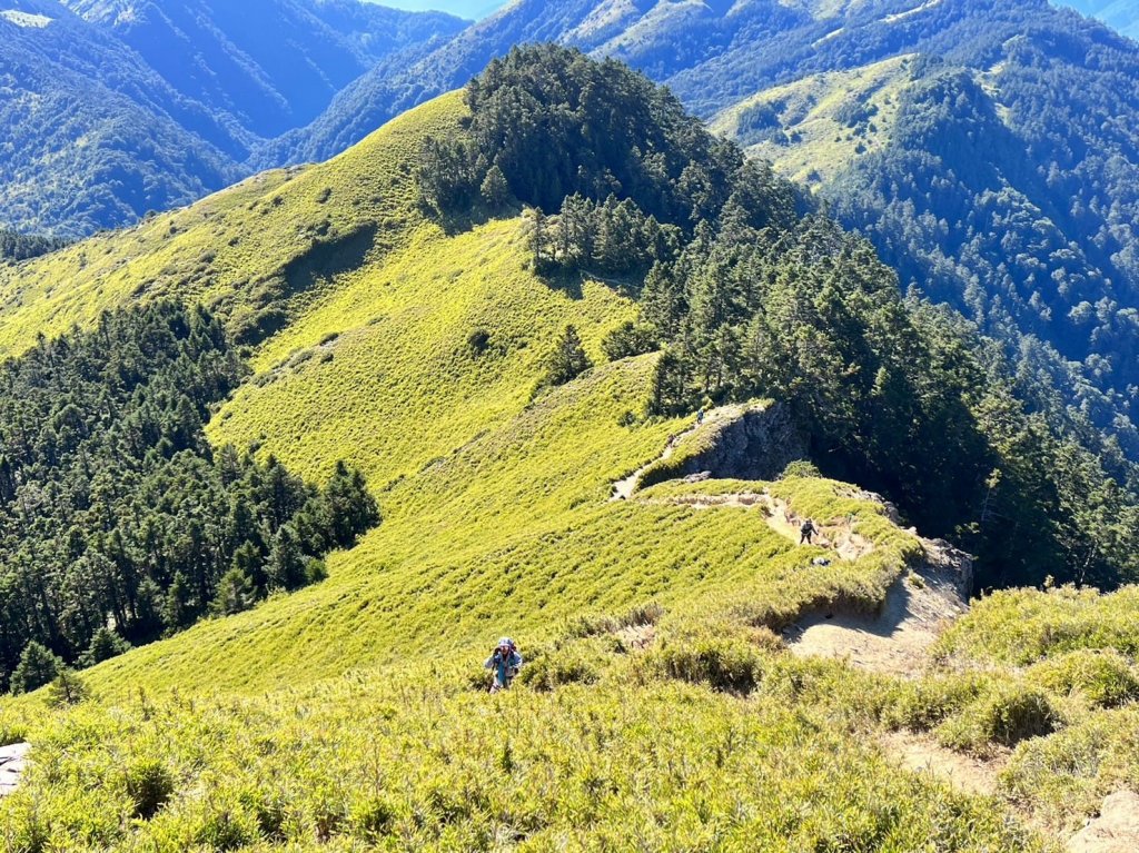 11/18-19合歡北西峰+合歡越嶺古道登茆木山_2355046